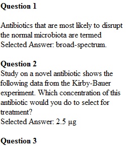 Lab Exam 2